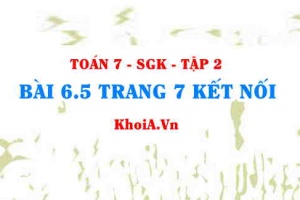 Bài 6.5 trang 7 Toán 7 Kết nối tri thức Tập 2